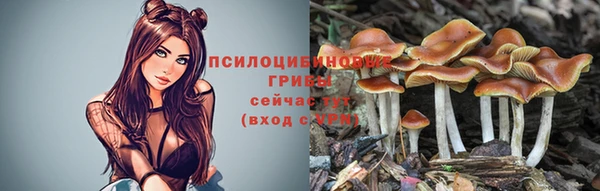 амфетамин Богданович