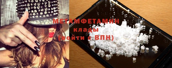 ГАЛЛЮЦИНОГЕННЫЕ ГРИБЫ Бородино